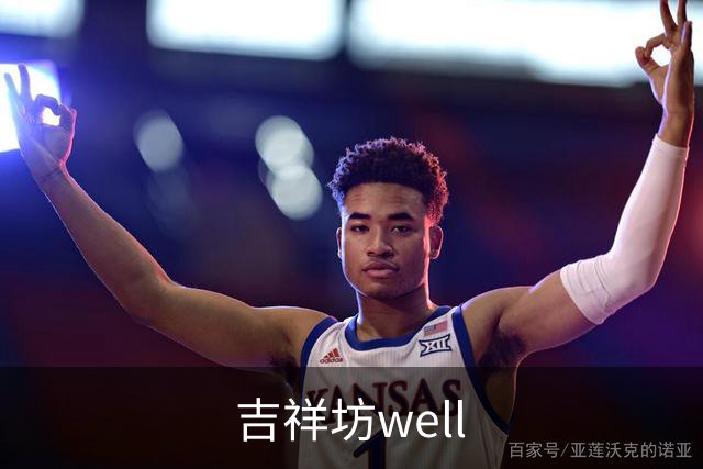 吉祥坊well 公司简介